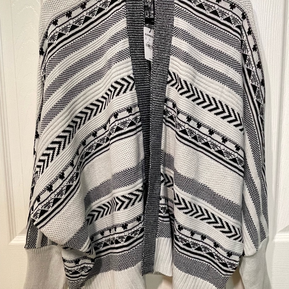NWT Express sweater